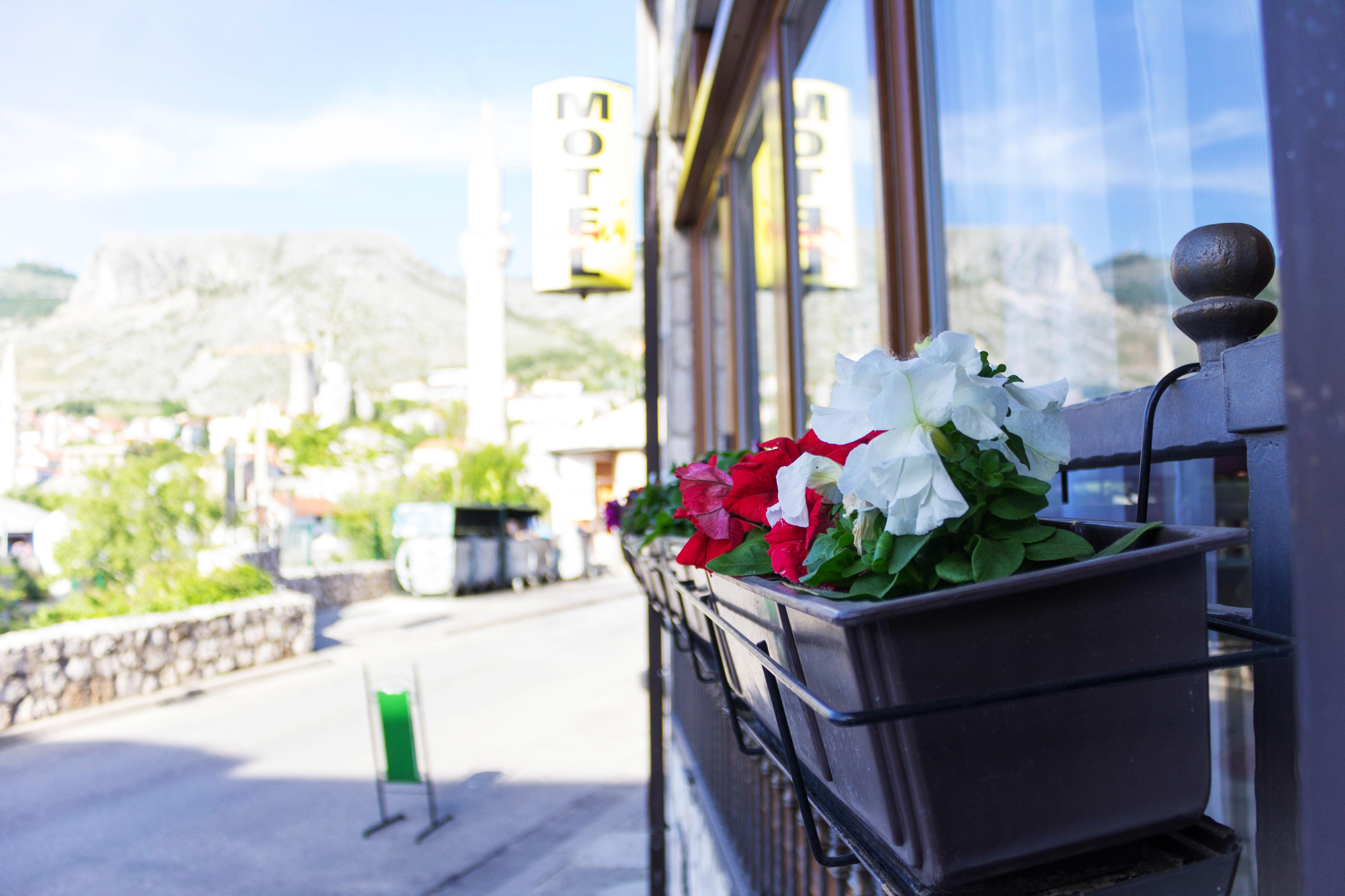 Villa Deny Mostar - With Free Parking Exterior photo